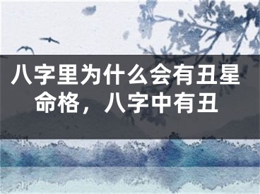 八字里为什么会有丑星命格，八字中有丑