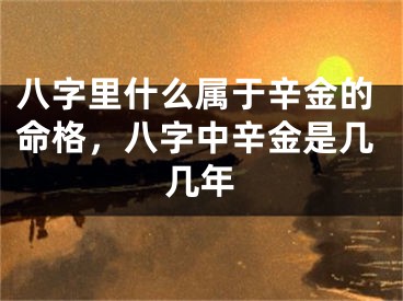八字里什么属于辛金的命格，八字中辛金是几几年