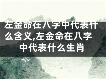 左金命在八字中代表什么含义,左金命在八字中代表什么生肖