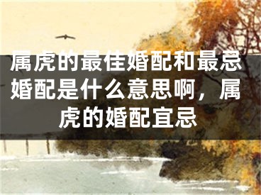 属虎的最佳婚配和最忌婚配是什么意思啊，属虎的婚配宜忌
