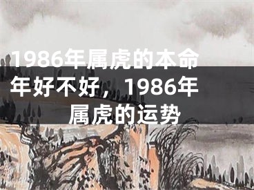 1986年属虎的本命年好不好,1986年属虎的运势