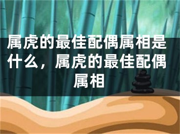 属虎的最佳配偶属相是什么,属虎的最佳配偶属相