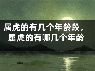 属虎的有几个年龄段,属虎的有哪几个年龄