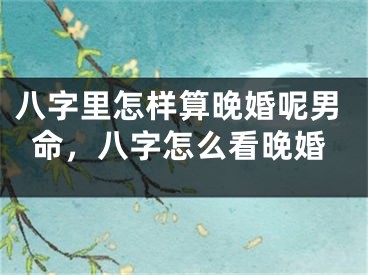 八字里怎样算晚婚呢男命,八字怎么看晚婚