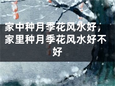 家中种月季花风水好，家里种月季花风水好不好