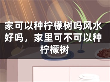 家可以种柠檬树吗风水好吗，家里可不可以种柠檬树