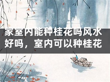 家室内能种桂花吗风水好吗，室内可以种桂花