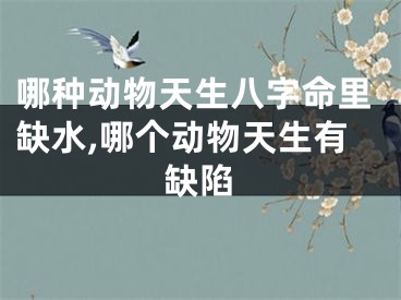 哪种动物天生八字命里缺水,哪个动物天生有缺陷