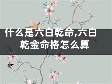 什么是六白乾命,六白乾金命格怎么算