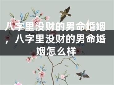 八字里没财的男命婚姻,八字里没财的男命婚姻怎么样
