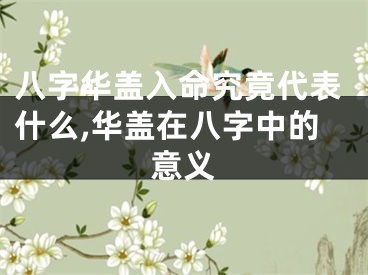 八字华盖入命究竟代表什么,华盖在八字中的意义