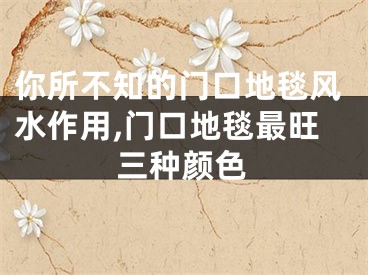 你所不知的门口地毯风水作用,门口地毯最旺三种颜色