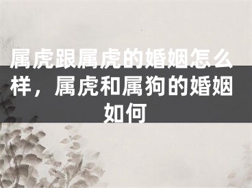 属虎跟属虎的婚姻怎么样,属虎和属狗的婚姻如何