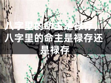 八字里的命主是禄存,八字里的命主是禄存还是禄存