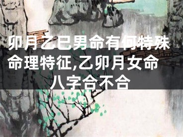 卯月乙巳男命有何特殊命理特征,乙卯月女命八字合不合