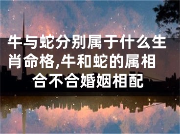 牛与蛇分别属于什么生肖命格,牛和蛇的属相合不合婚姻相配