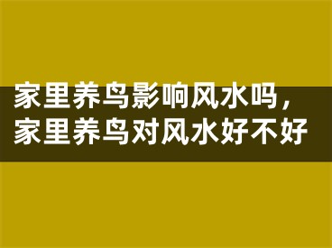 家里养鸟影响风水吗,家里养鸟对风水好不好