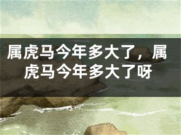 属虎马今年多大了，属虎马今年多大了呀