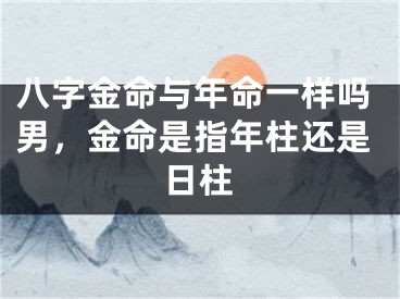 八字金命与年命一样吗男，金命是指年柱还是日柱