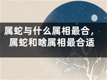 属蛇与什么属相最合，属蛇和啥属相最合适