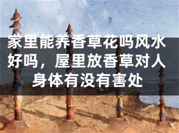家里能养香草花吗风水好吗，屋里放香草对人身体有没有害处