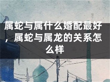 属蛇与属什么婚配最好，属蛇与属龙的关系怎么样