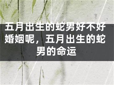 五月出生的蛇男好不好婚姻呢,五月出生的蛇男的命运