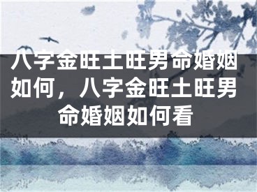 八字金旺土旺男命婚姻如何,八字金旺土旺男命婚姻如何看