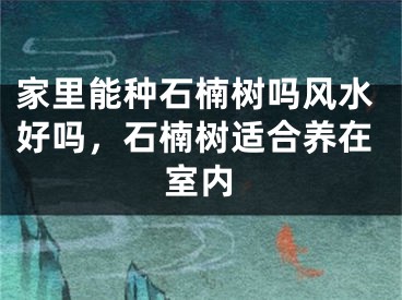 家里能种石楠树吗风水好吗,石楠树适合养在室内