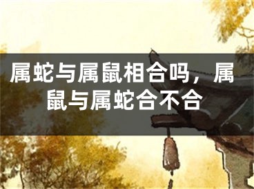 属蛇与属鼠相合吗,属鼠与属蛇合不合