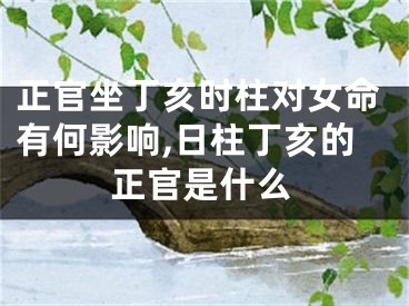 正官坐丁亥时柱对女命有何影响,日柱丁亥的正官是什么