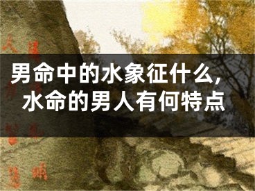 男命中的水象征什么,水命的男人有何特点