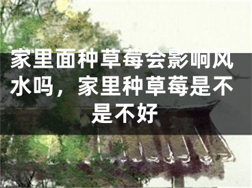家里面种草莓会影响风水吗，家里种草莓是不是不好