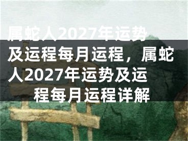 属蛇人2027年运势及运程每月运程，属蛇人2027年运势及运程每月运程详解