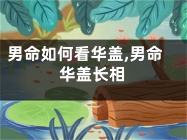 男命如何看华盖,男命华盖长相