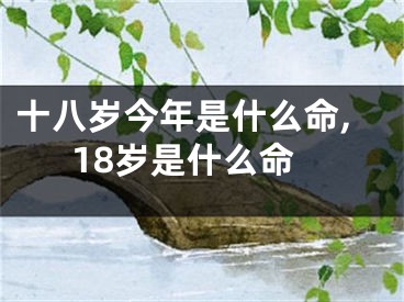 十八岁今年是什么命,18岁是什么命