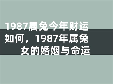 1987属兔今年财运如何,1987年属兔女的婚姻与命运