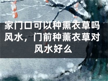 家门口可以种熏衣草吗风水，门前种薰衣草对风水好么