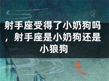 射手座受得了小奶狗吗，射手座是小奶狗还是小狼狗