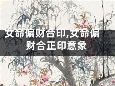 女命偏财合印,女命偏财合正印意象