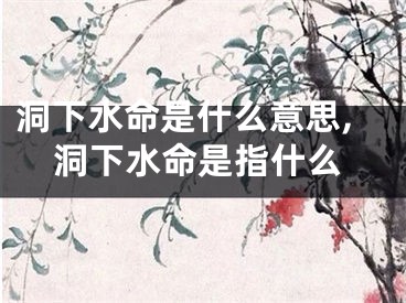 洞下水命是什么意思,洞下水命是指什么