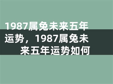 1987属兔未来五年运势,1987属兔未来五年运势如何
