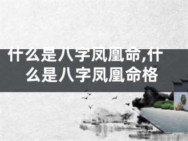 什么是八字凤凰命,什么是八字凤凰命格