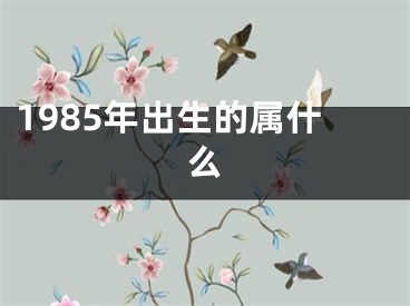 1985年出生的属什么