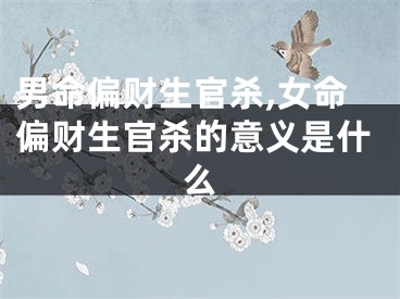 男命偏财生官杀,女命偏财生官杀的意义是什么