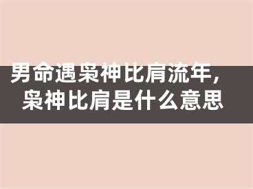 男命遇枭神比肩流年,枭神比肩是什么意思