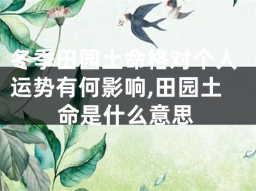 冬季田园土命格对个人运势有何影响,田园土命是什么意思