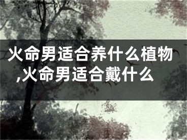 火命男适合养什么植物,火命男适合戴什么