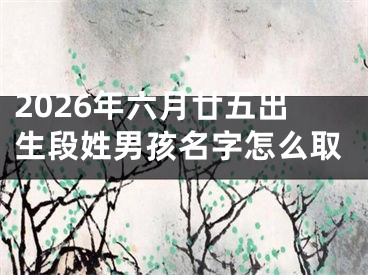 2026年六月廿五出生段姓男孩名字怎么取