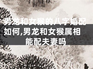 男龙和女猴的八字婚配如何,男龙和女猴属相能配夫妻吗